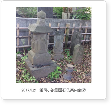 2017.5.21  雑司ヶ谷霊園石仏案内会②